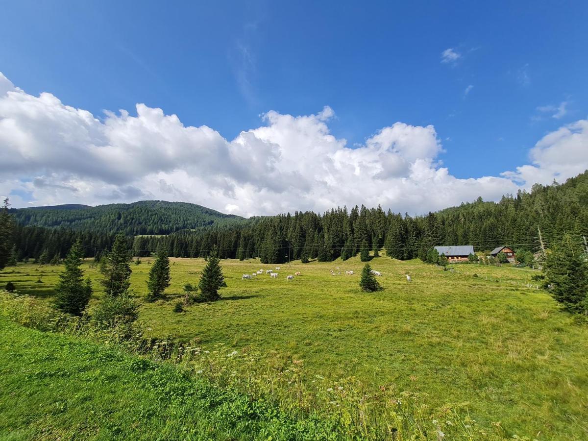 Apartmenthaus Almwiese Flattnitz מראה חיצוני תמונה
